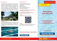 Flyer Erwachsenenschwimmen