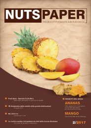 NUTSPAPER ananas mango LOall