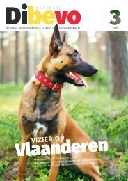 Dibevo-Vakblad nr 3 - 2016