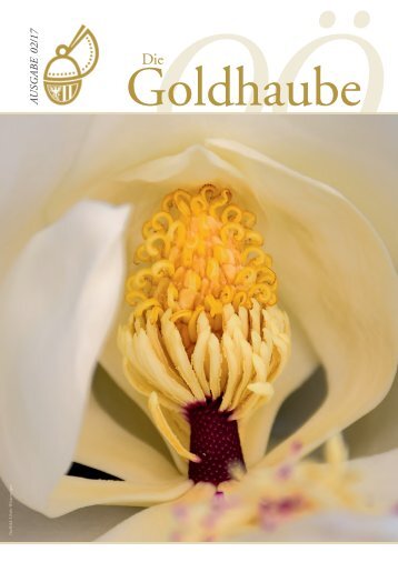 Die Goldhaube_02-2017_40 Seiten_A