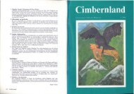Cimbernland Ausgabe 4 Jahrgang 1984