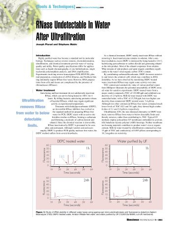 RNase Undetectable In Water After Ultrafiltration