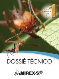 Dossiê Técnico Mirex-S 2 - 2017