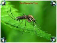 Mosquito Trap