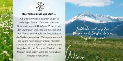 Umweltbildungsprogramm der Naturfreunde Tirol: Natur erleben!