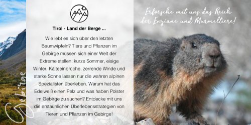 Umweltbildungsprogramm der Naturfreunde Tirol: Natur erleben!