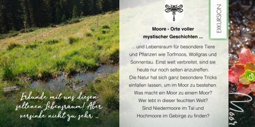 Umweltbildungsprogramm der Naturfreunde Tirol: Natur erleben!