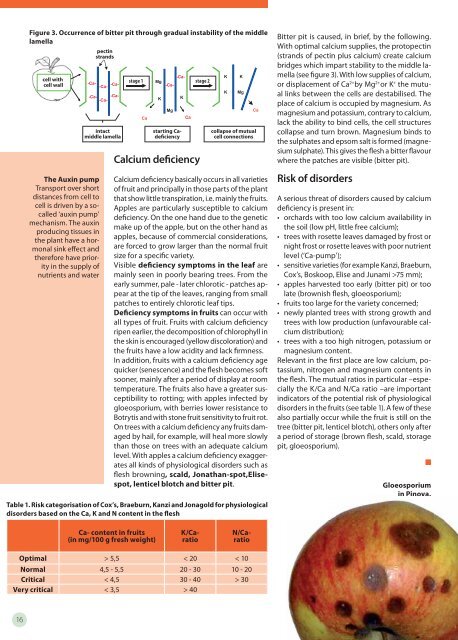 In this edition: - The European Fruit Magazine