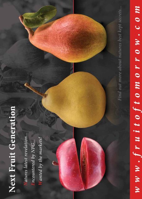 In this edition: - The European Fruit Magazine