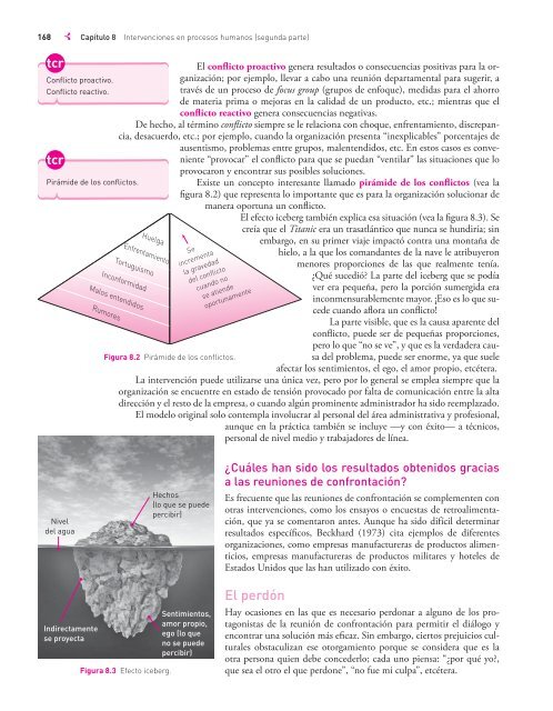 Desarrollo Organizacional-Rafael Guizar