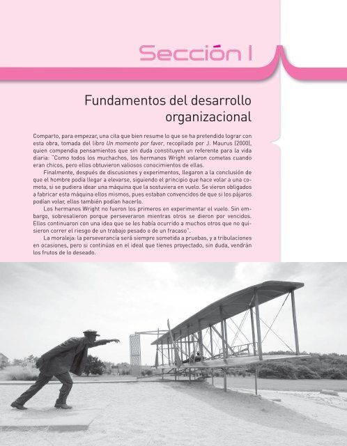 Desarrollo Organizacional-Rafael Guizar