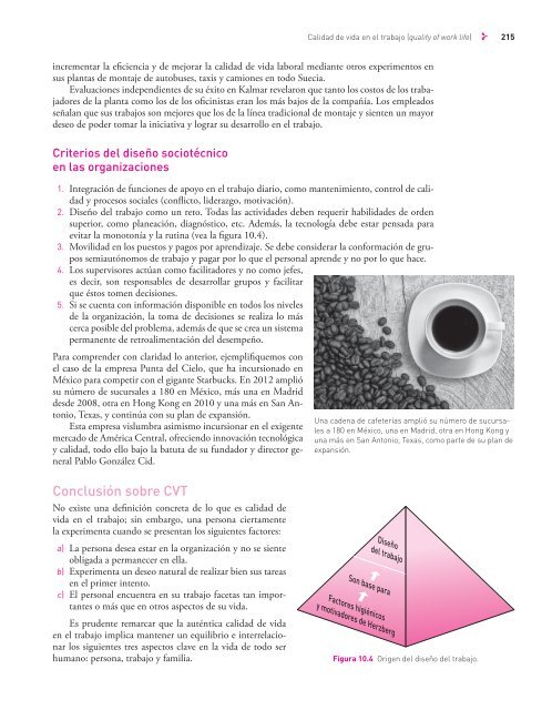 Desarrollo Organizacional-Rafael Guizar