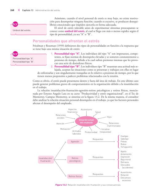 Desarrollo Organizacional-Rafael Guizar