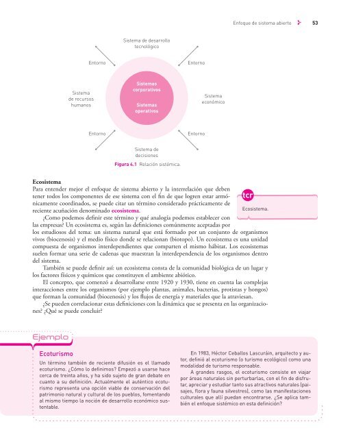 Desarrollo Organizacional-Rafael Guizar