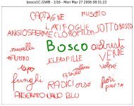 LIM_Bosco_Torti