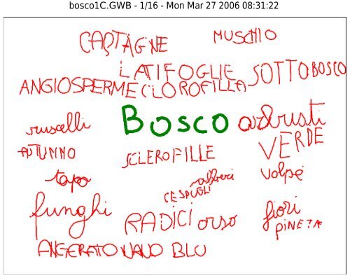 LIM_Bosco_Torti