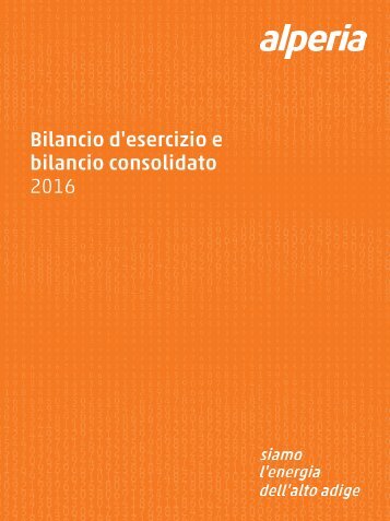 Bilancio d'esercizio e bilancio consolidato 2016