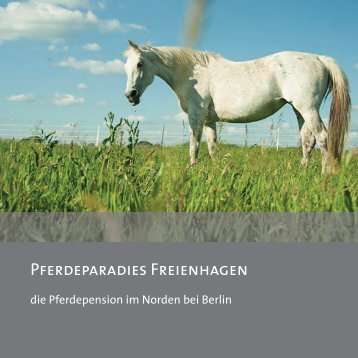 Pferdeparadies Freienhagen - die Pferdepension