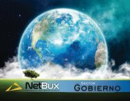 Presentación Gobierno Netbux