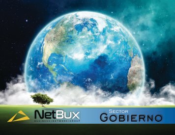 Presentación Gobierno Netbux