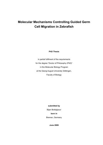 Molecular Mechanisms Controlling Guided Germ Cell Migration in ...