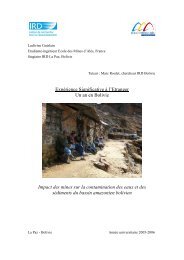 Rapport de stage - Ludivine - ORE HYBAM