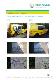 Folder Graffitientfernung Seite 3