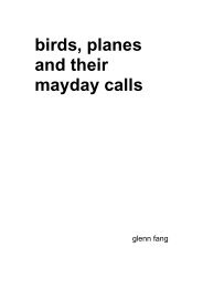 birds, planes and their mayday calls