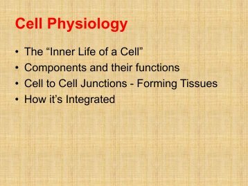 bio5