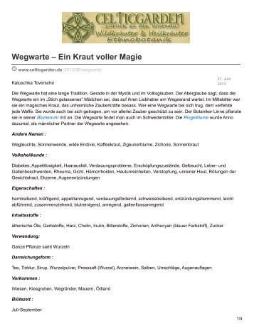 Wegwarte  Ein Kraut voller Magie