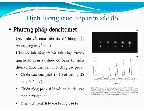 Cơ sở lý thuyết của phương pháp sắc ký bản mỏng và ứng dụng của sắc ký bản mỏng