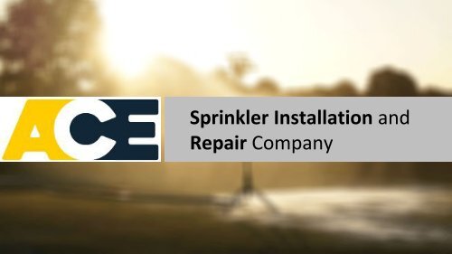 ACE SPRINKLER PROS