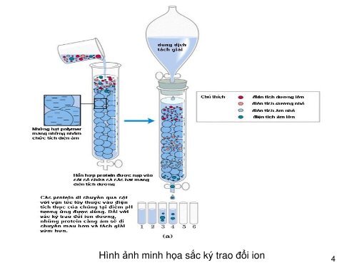 TÌM HIỂU NGUYÊN TẮC ỨNG DỤNG CỦA SẮC KÝ LỎNG & SẮC KÝ TRAO ĐỔI ION