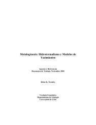 Hidrotermalismo-Metalogenesis_doc-trabajo