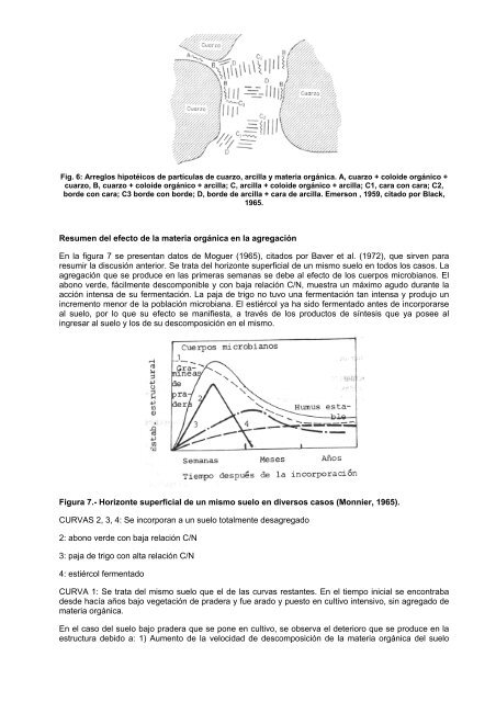 Propiedades Físicas del Suelo