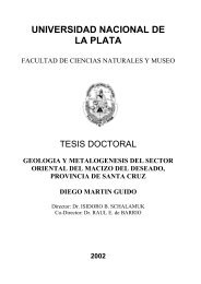 Tesis Doctoral Diego Guido (2002)