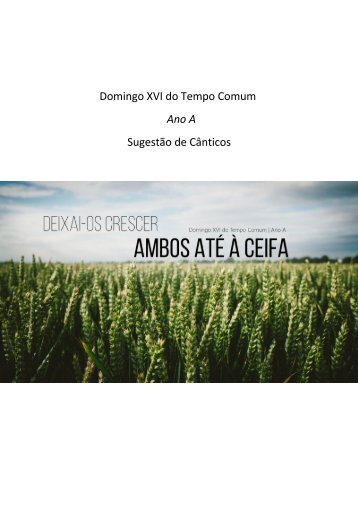 Domingo XVI do Tempo Comum - Ano A