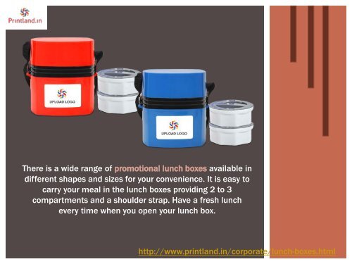 Buy Promotional and Corporate Logo printed Lunch Boxes and Bags For Kids Online in India.