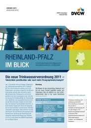 Ausgabe 5/2011 - DVGW Rheinland-Pfalz
