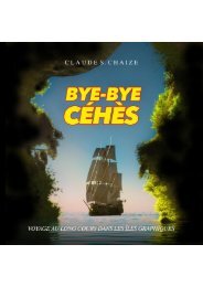 Bye-Bye-CEHES