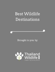 Best Wildlife Destinations