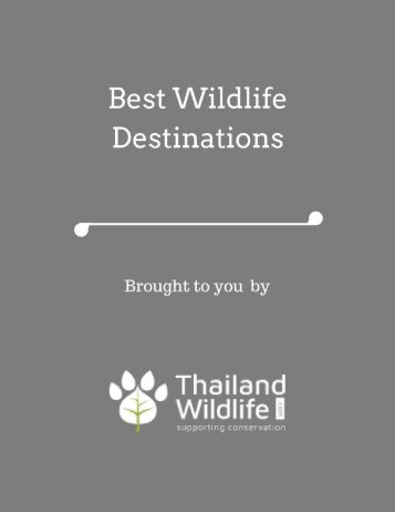 Best Wildlife Destinations