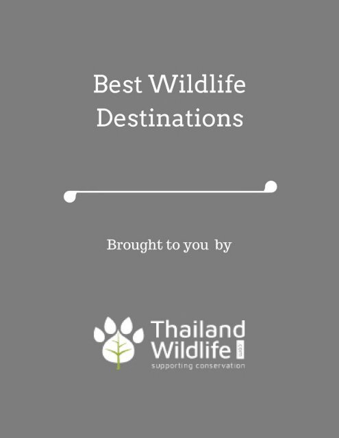 Best Wildlife Destinations
