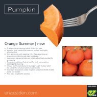 Leaflet Pumpkin South Africa 2017
