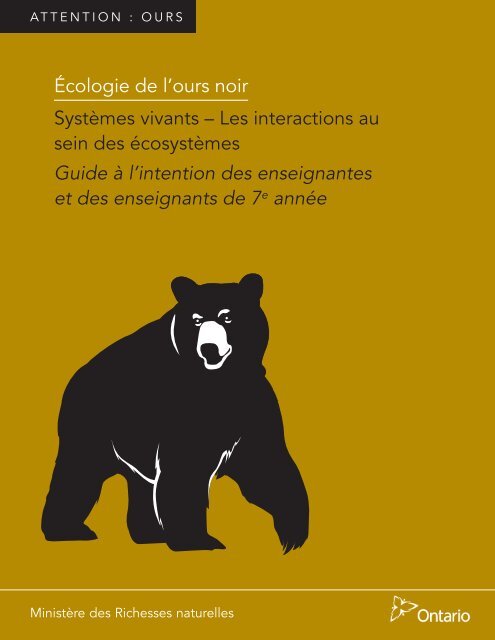 Écologie de l'ours noir - Ontario.ca