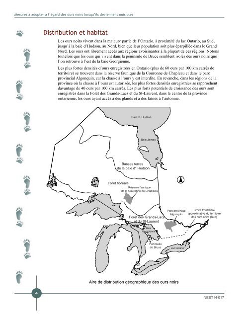 Écologie de l'ours noir - Ontario.ca