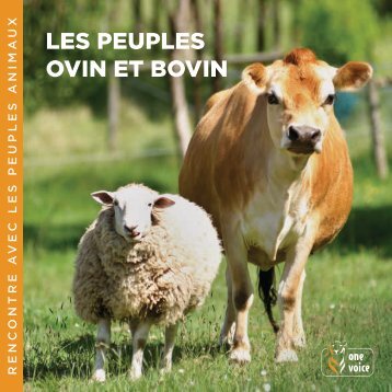 Les peuples ovin et bovin