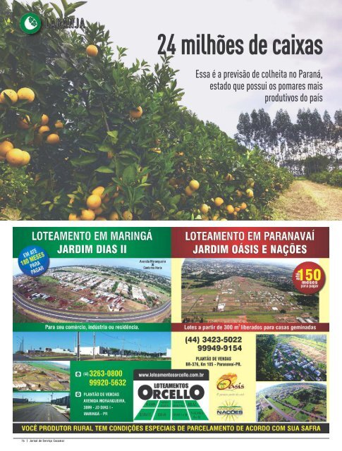 Jornal Cocamar Junho 2017