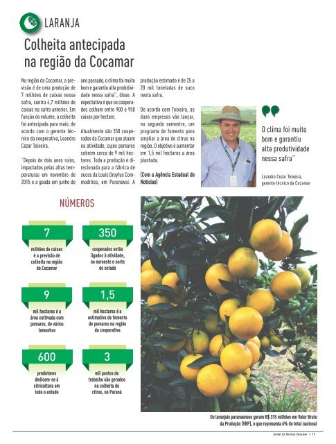 Jornal Cocamar Junho 2017