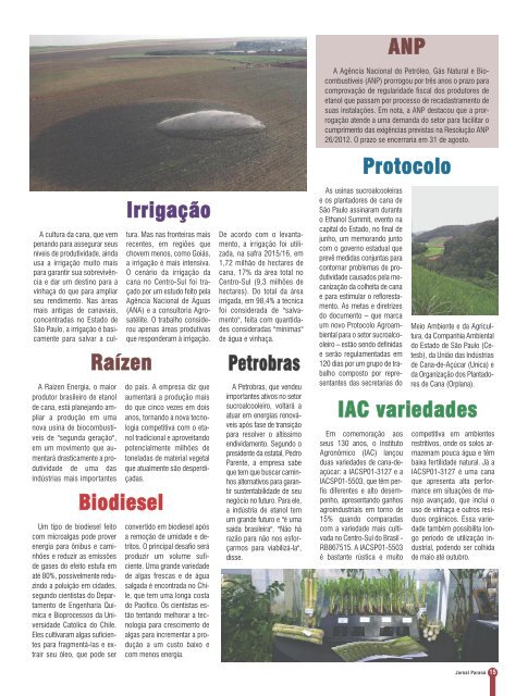 Jornal Paraná Agosto 2017